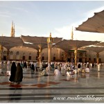 Masjid Nabvi