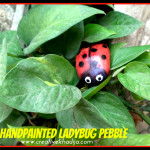 How-To-Paint-Ladybug-Stone-Rock-Pebble