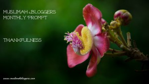 Muslimah Bloggers Monthly Prompt