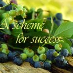 a-scheme-for-success