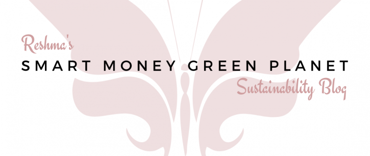 October 2020 Featured Blogger – Smart Money Green Planet