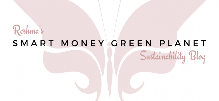 October 2020 Featured Blogger – Smart Money Green Planet