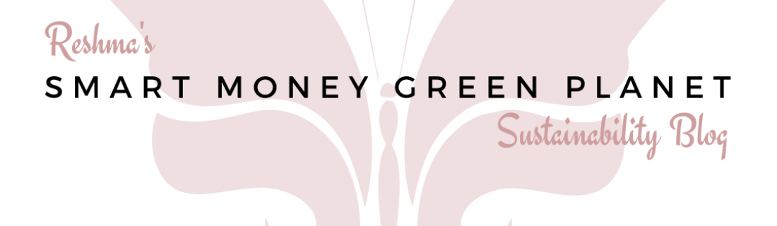 October 2020 Featured Blogger – Smart Money Green Planet