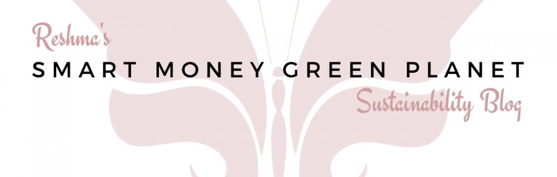 October 2020 Featured Blogger – Smart Money Green Planet