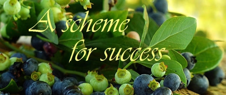 A Scheme for Success
