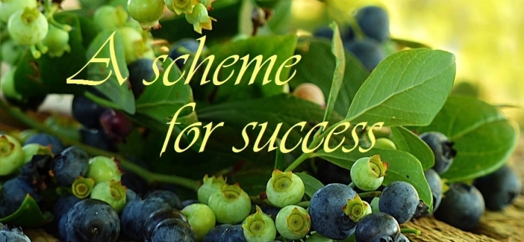 A Scheme for Success