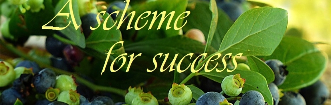 A Scheme for Success