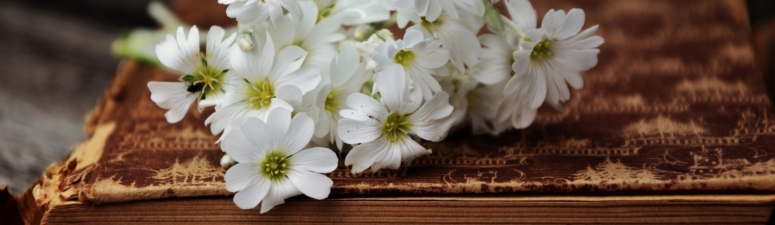Ramadan Day 27 – Beneficial Supplications