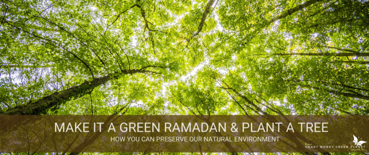 Preserving the Environment During Ramadan – Ramadan 2020 Day 7