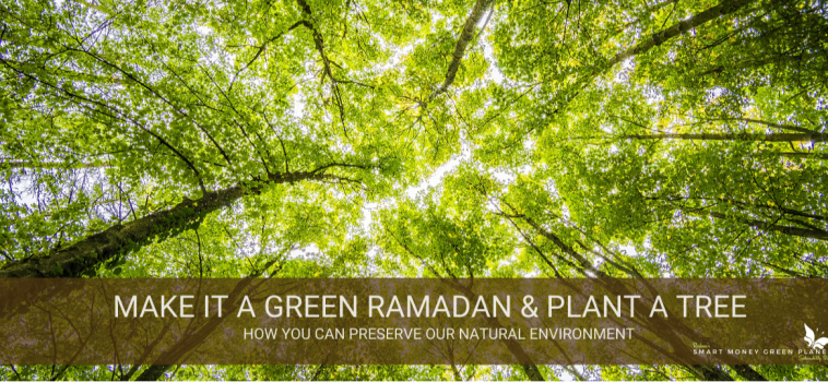 Preserving the Environment During Ramadan – Ramadan 2020 Day 7