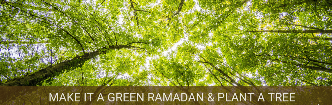 Preserving the Environment During Ramadan – Ramadan 2020 Day 7