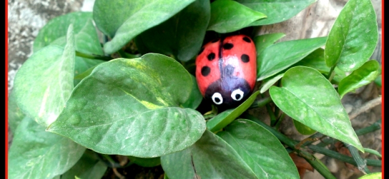 How to Paint LadyBug Stone Rock Pebble