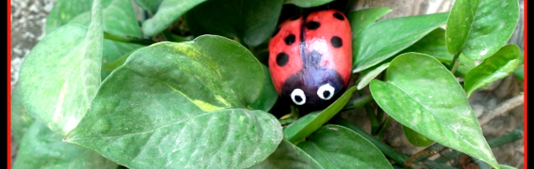 How to Paint LadyBug Stone Rock Pebble