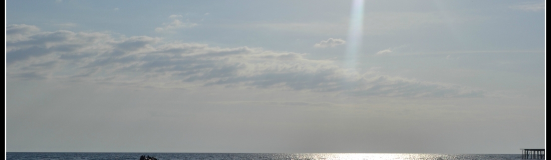 January 2016 Monthly Prompt – New Beginnings