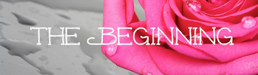 The Beginning