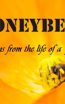 Honey Bee – Reflections from the Life of a Friend