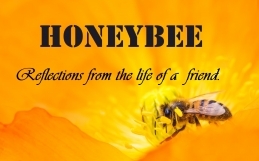 Honey Bee – Reflections from the Life of a Friend