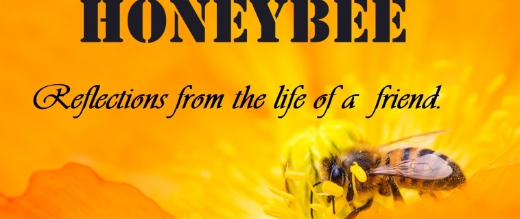 Honey Bee – Reflections from the Life of a Friend