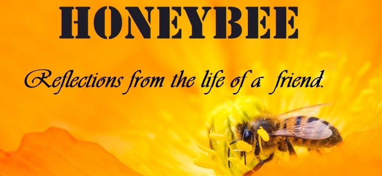 Honey Bee – Reflections from the Life of a Friend