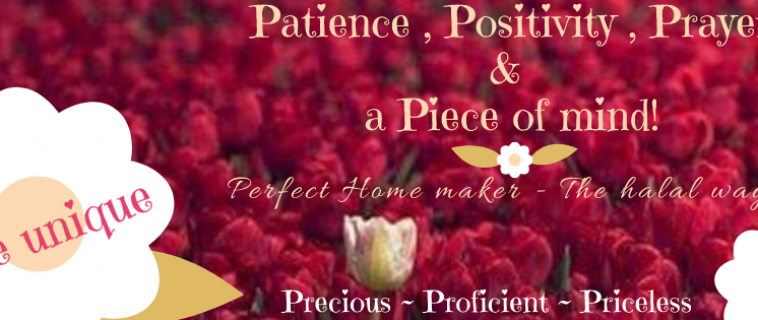 August 2020 Featured Blogger – Perfect HomeMaker – The Halal way